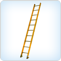 Wall Supported Straight Ladder